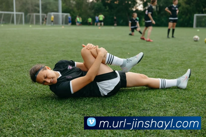 金沙娱乐平台生态图